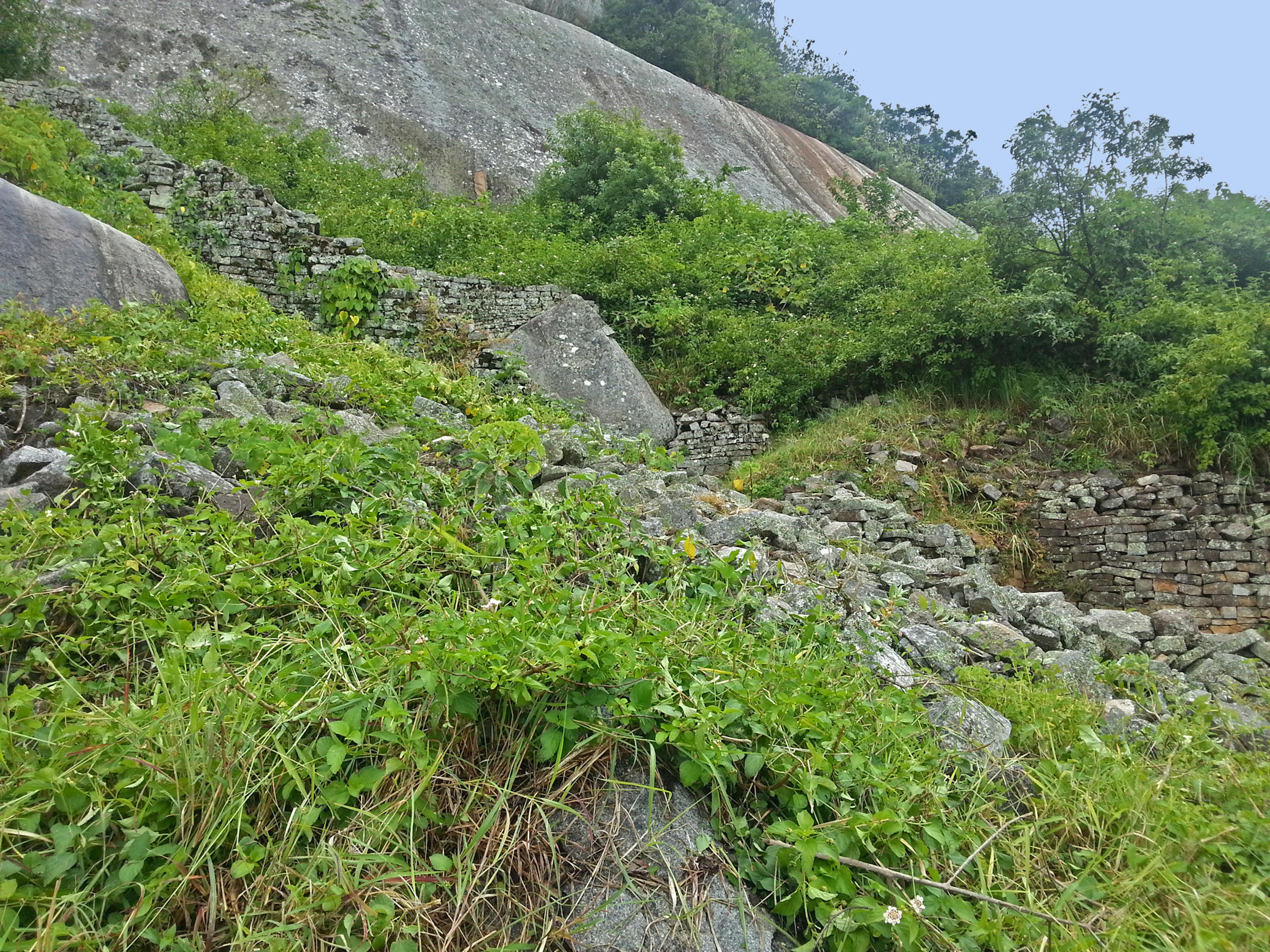 Lantana, an invasive flowering shrub that was introduced to Zimbabwe in the early twentieth century, is shown here growing over the ruins, 2015