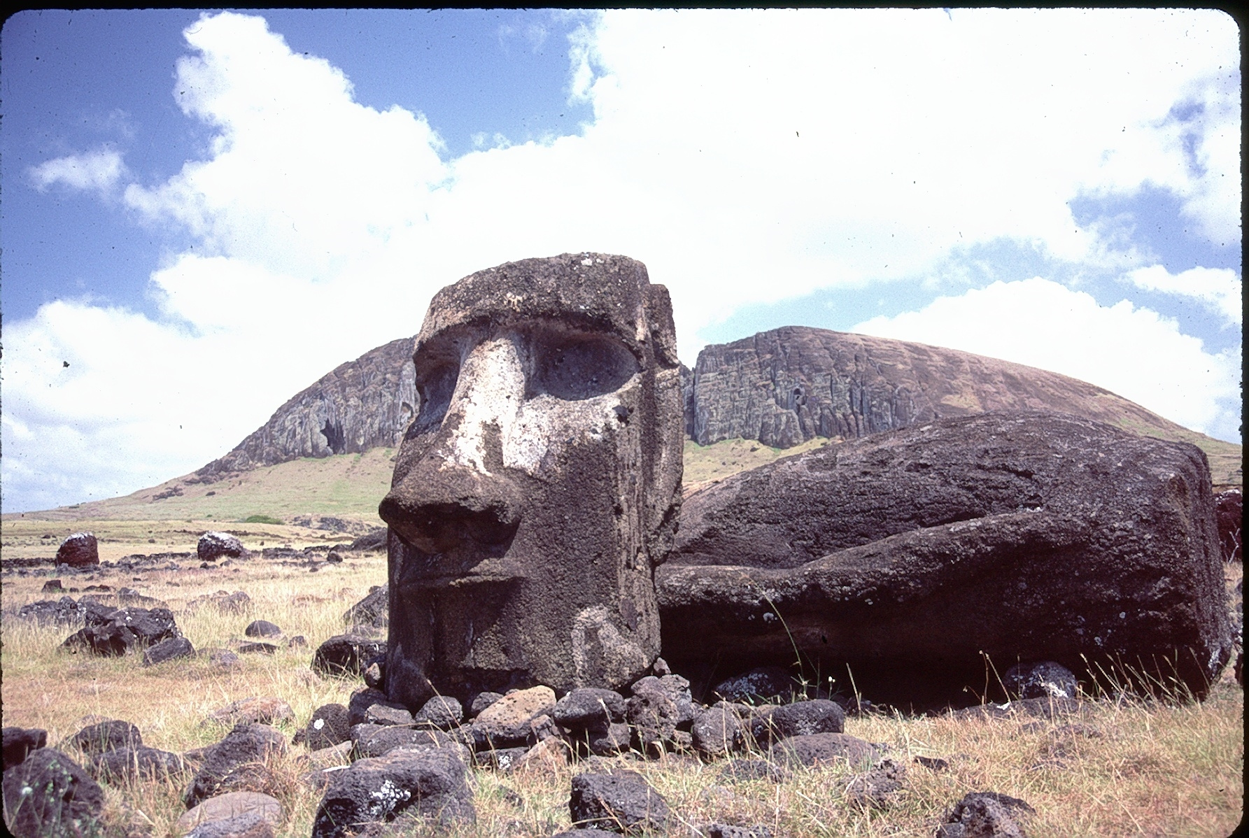 Rapa Nui - Research and Reconstruction