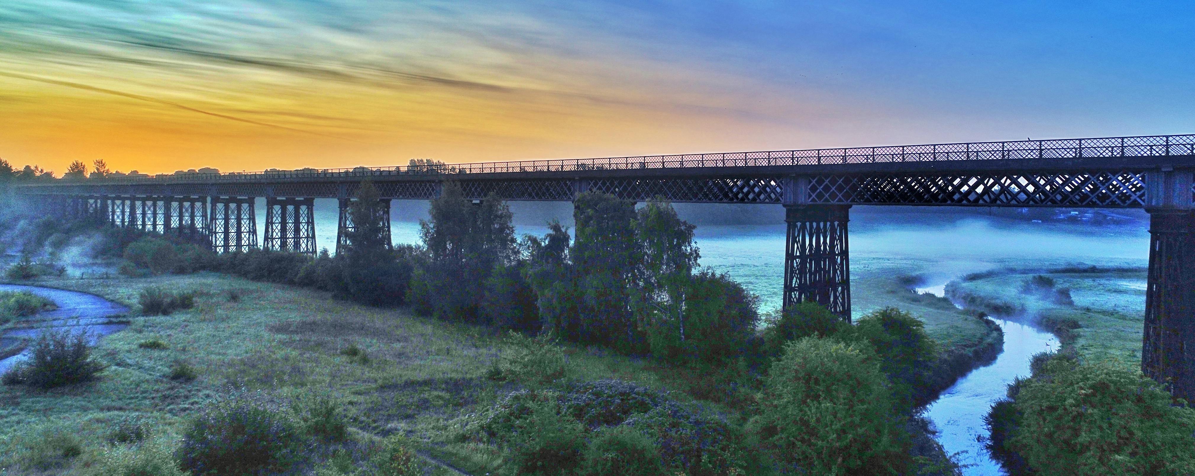 View of the Bennerley Viaduct from the east, 2017.