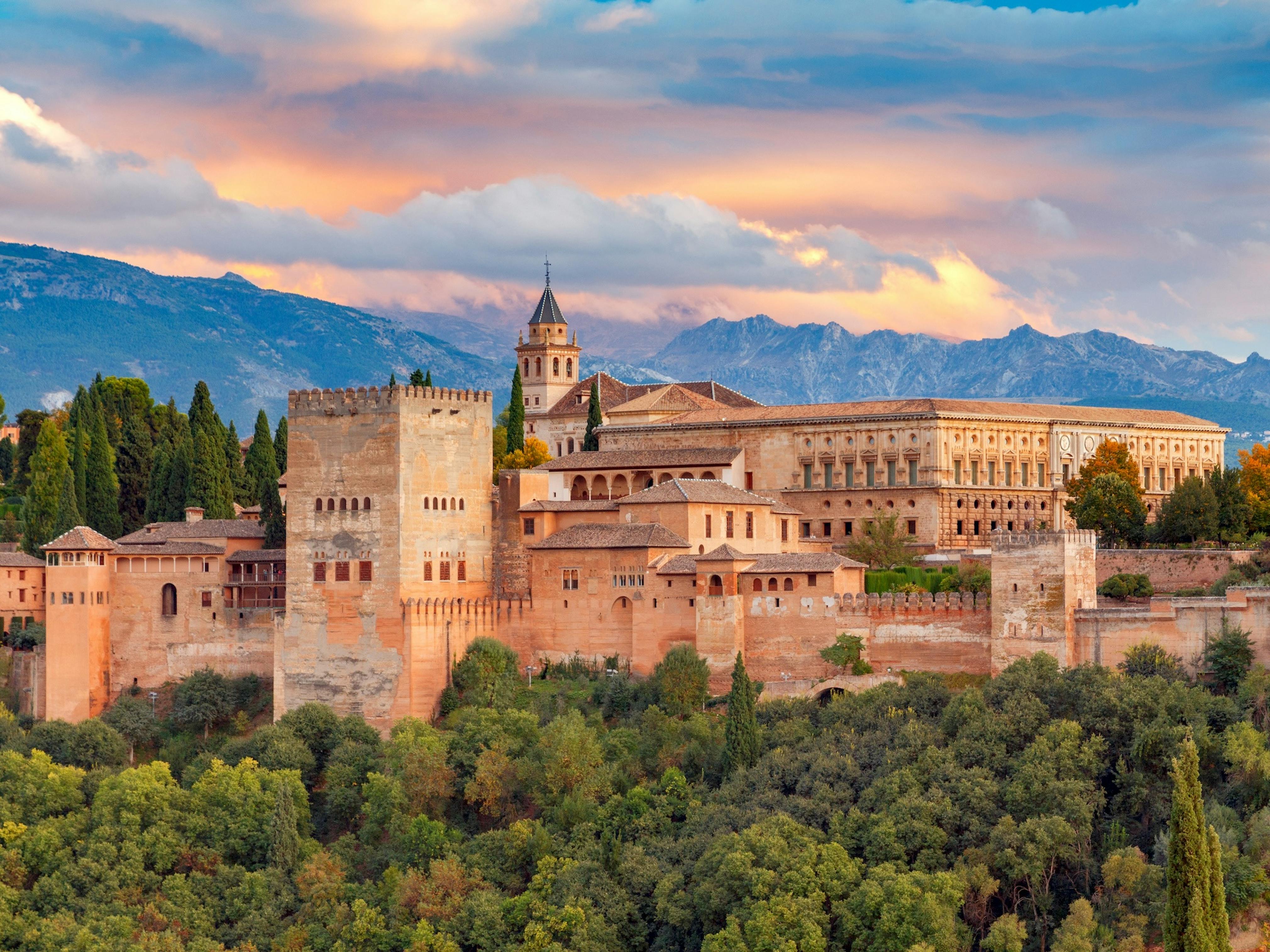 4 shutterstock 1375146032