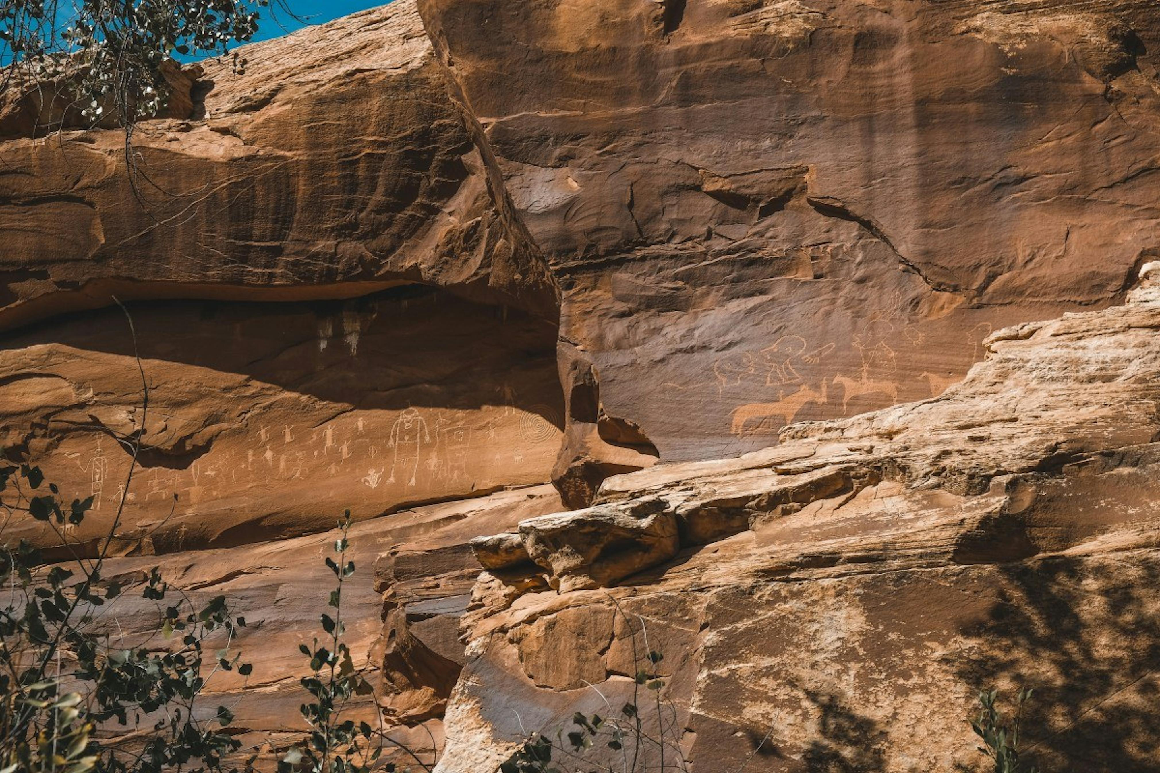 Horse figures, heads, and ceremonial figures can be seen throughout the Sand Island Petroglyph Panel area, Bears Ears National Monument, USA.