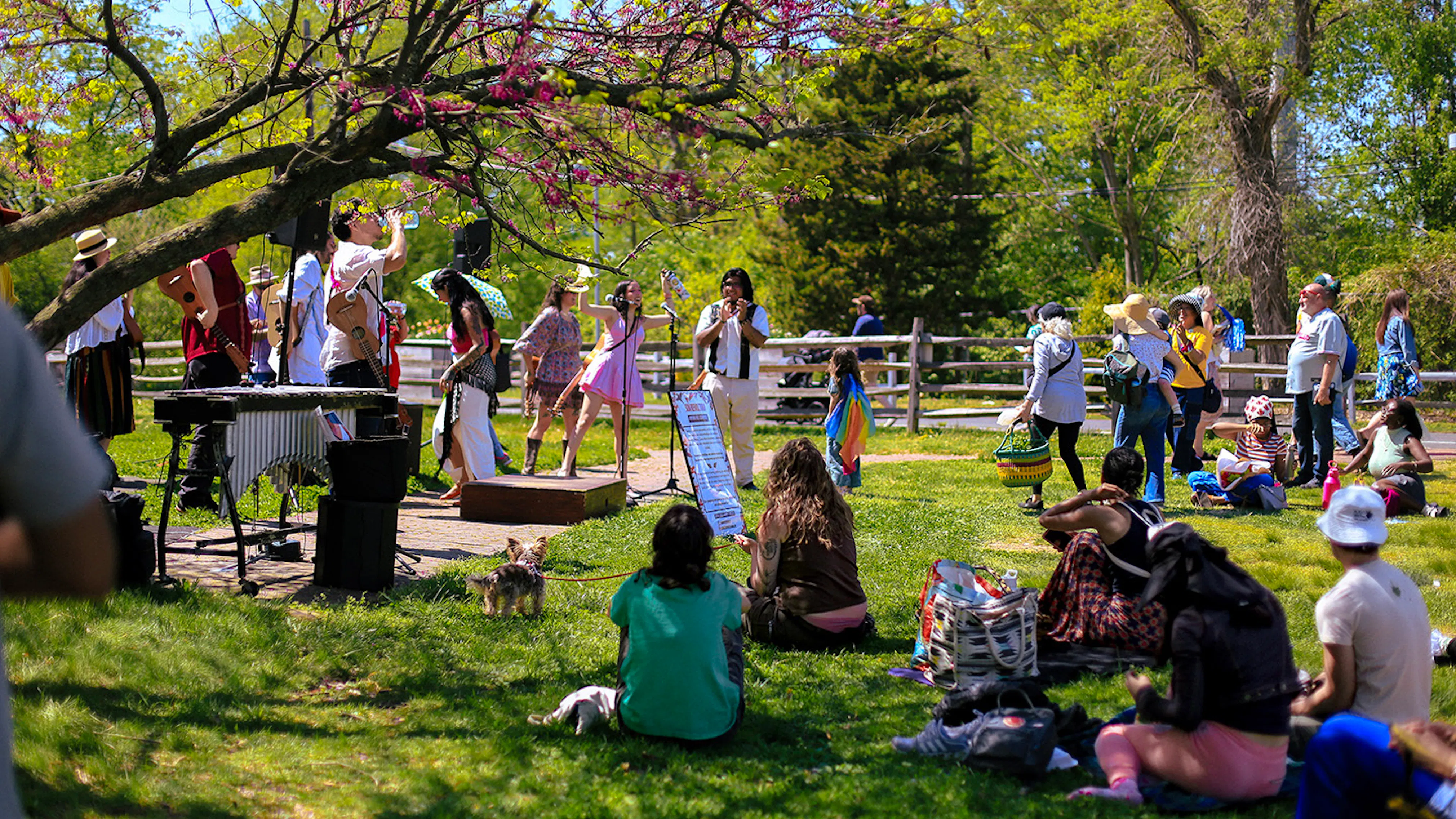 BARTRAMS 04 16 X9 Spring Fest Azella Gardens 1
