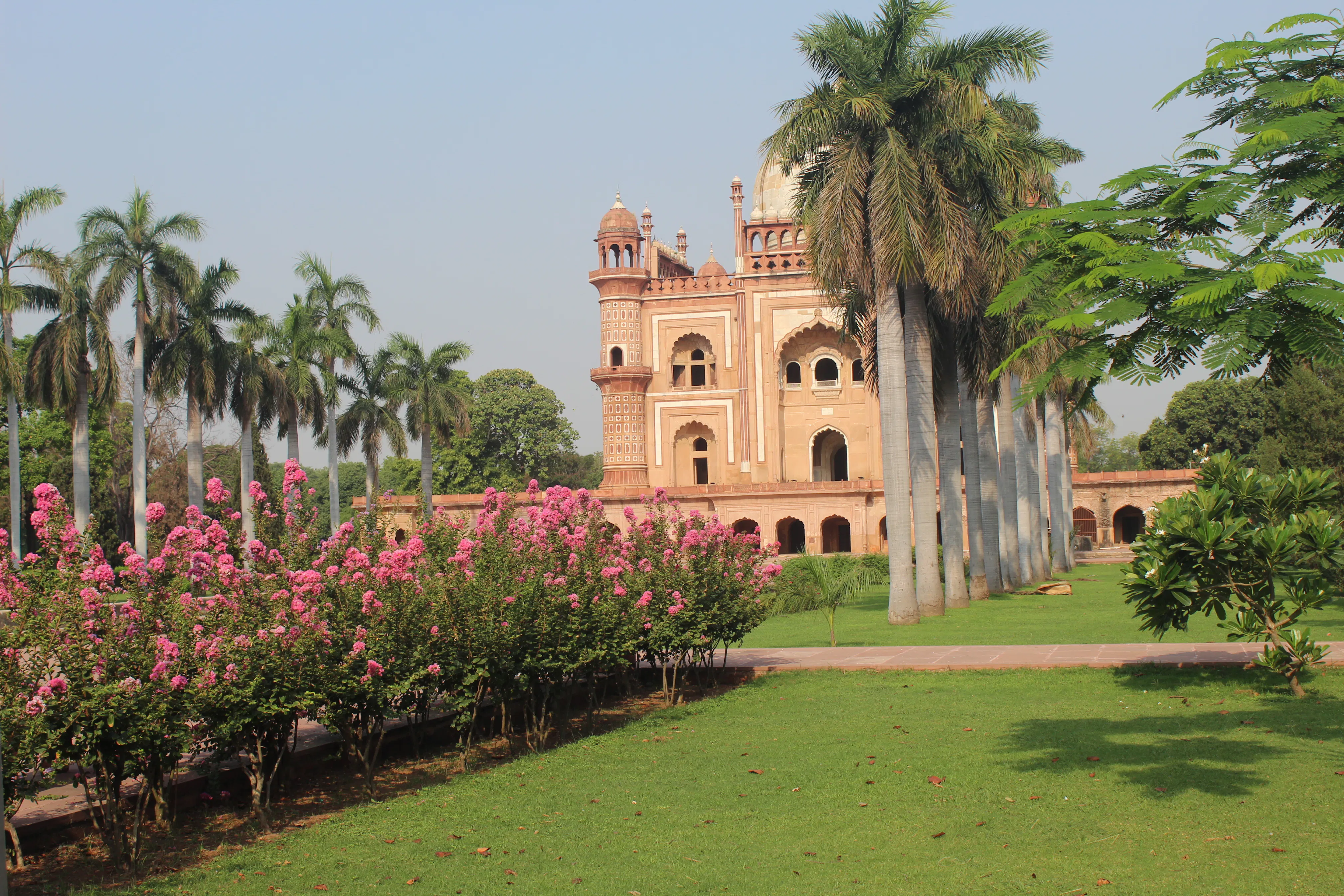 IND Safdar Jang's Tomb E Flora 3072