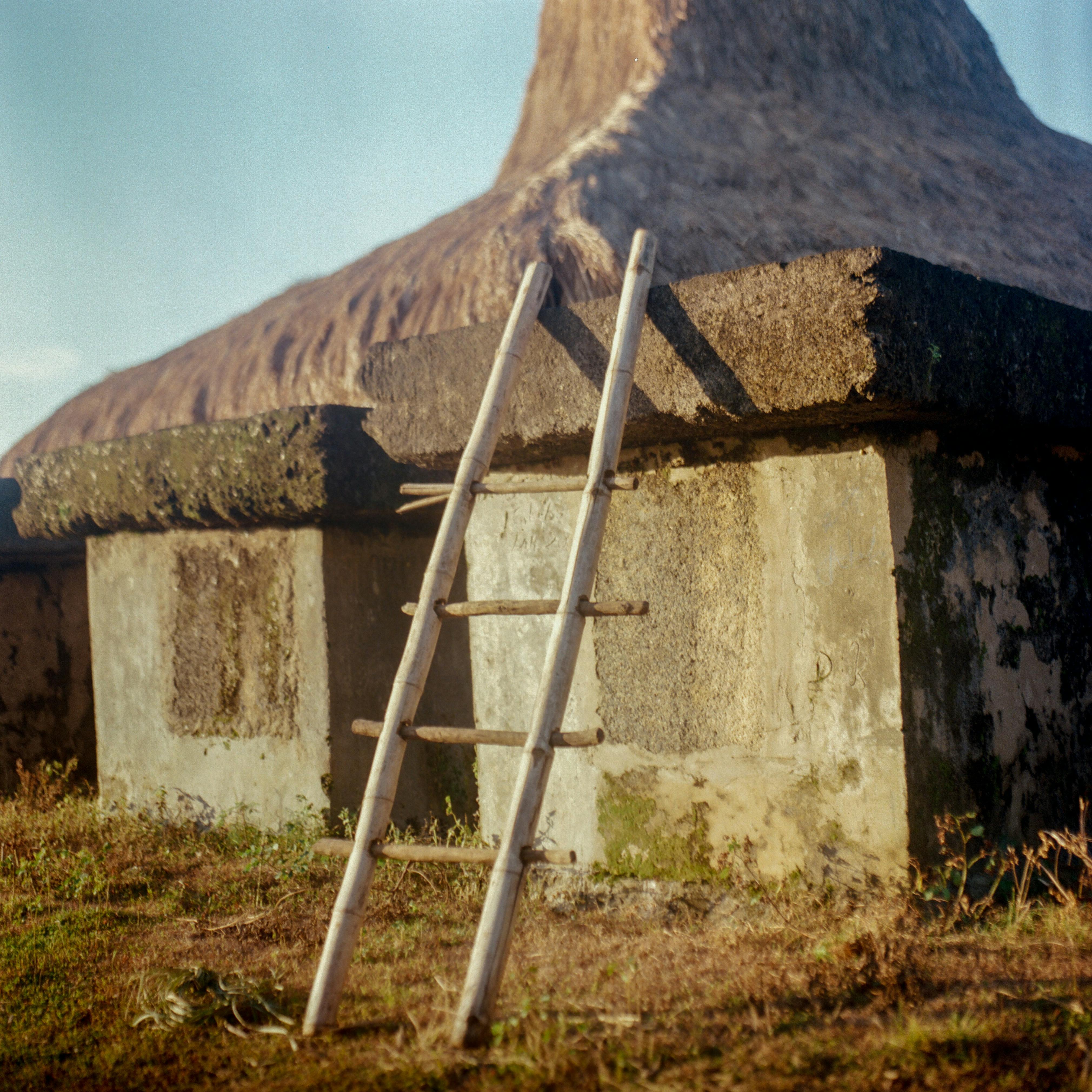 A ladder in front of a structure.