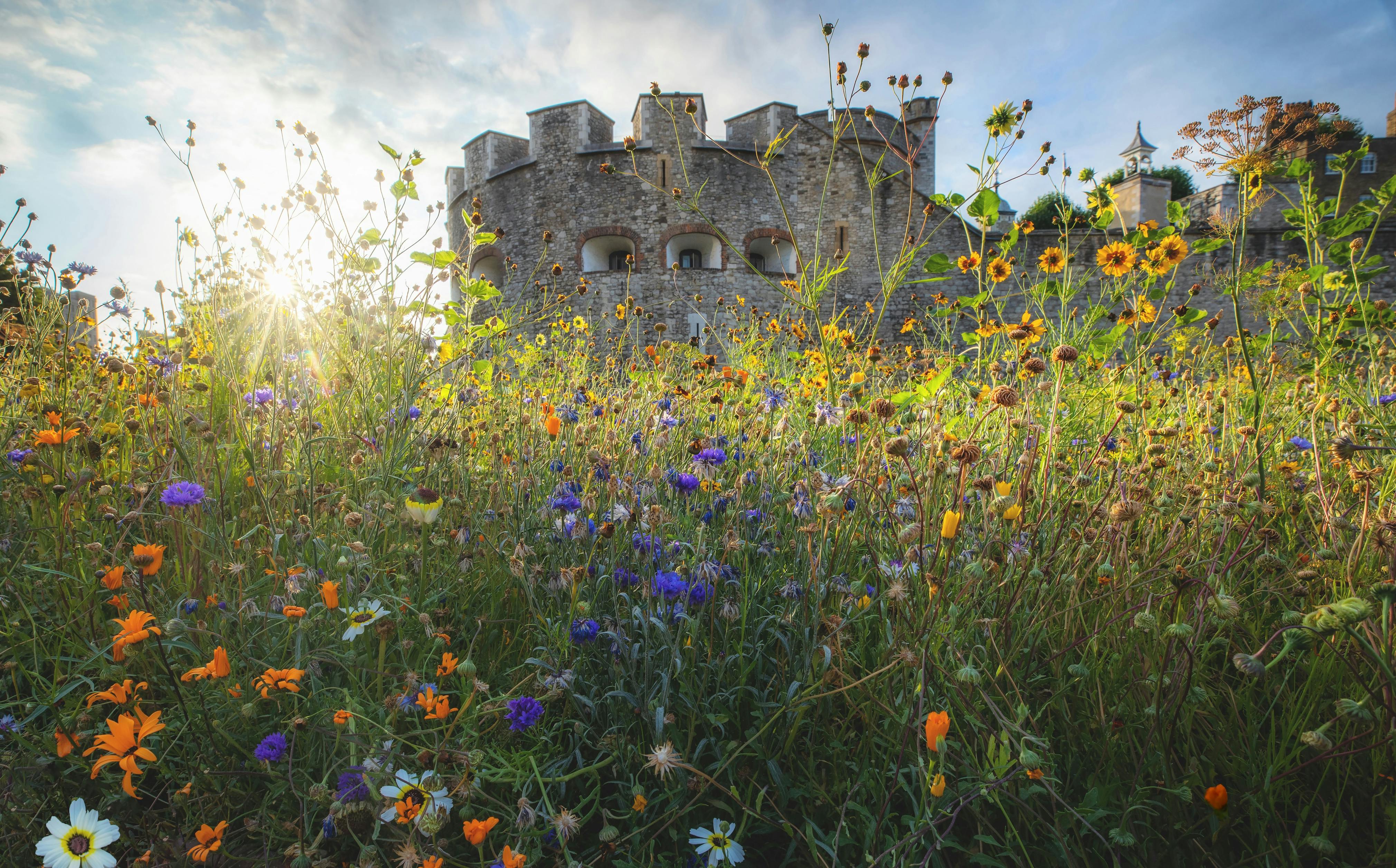 GBR Tower of London Superboom september 20220922