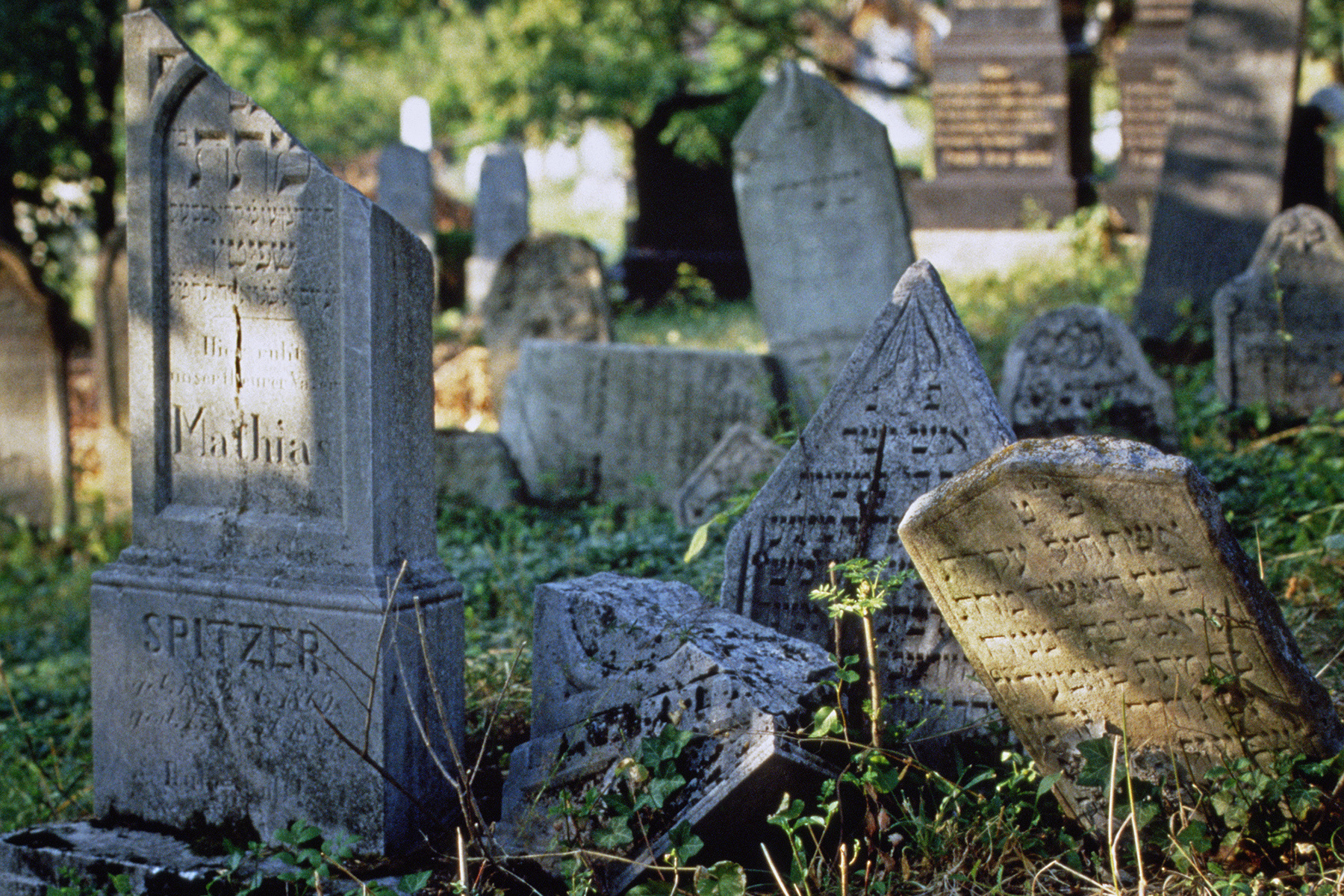 南郷遺跡Ⅰ・Ⅱ・Ⅲ・Ⅳ・Ⅴ Jewish Cemetery on the Lido