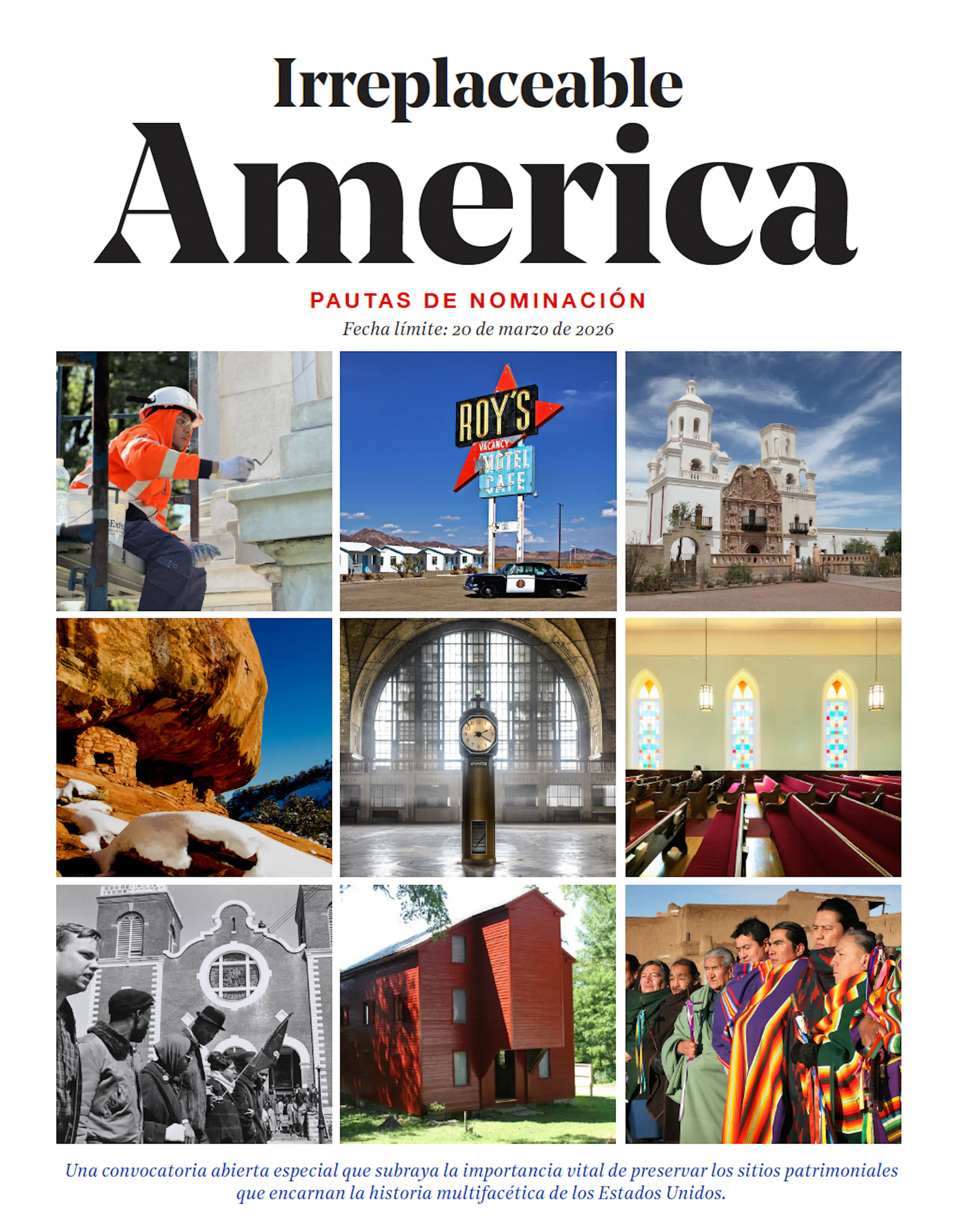 Irreplaceable Spanish Guidelines Cover Image