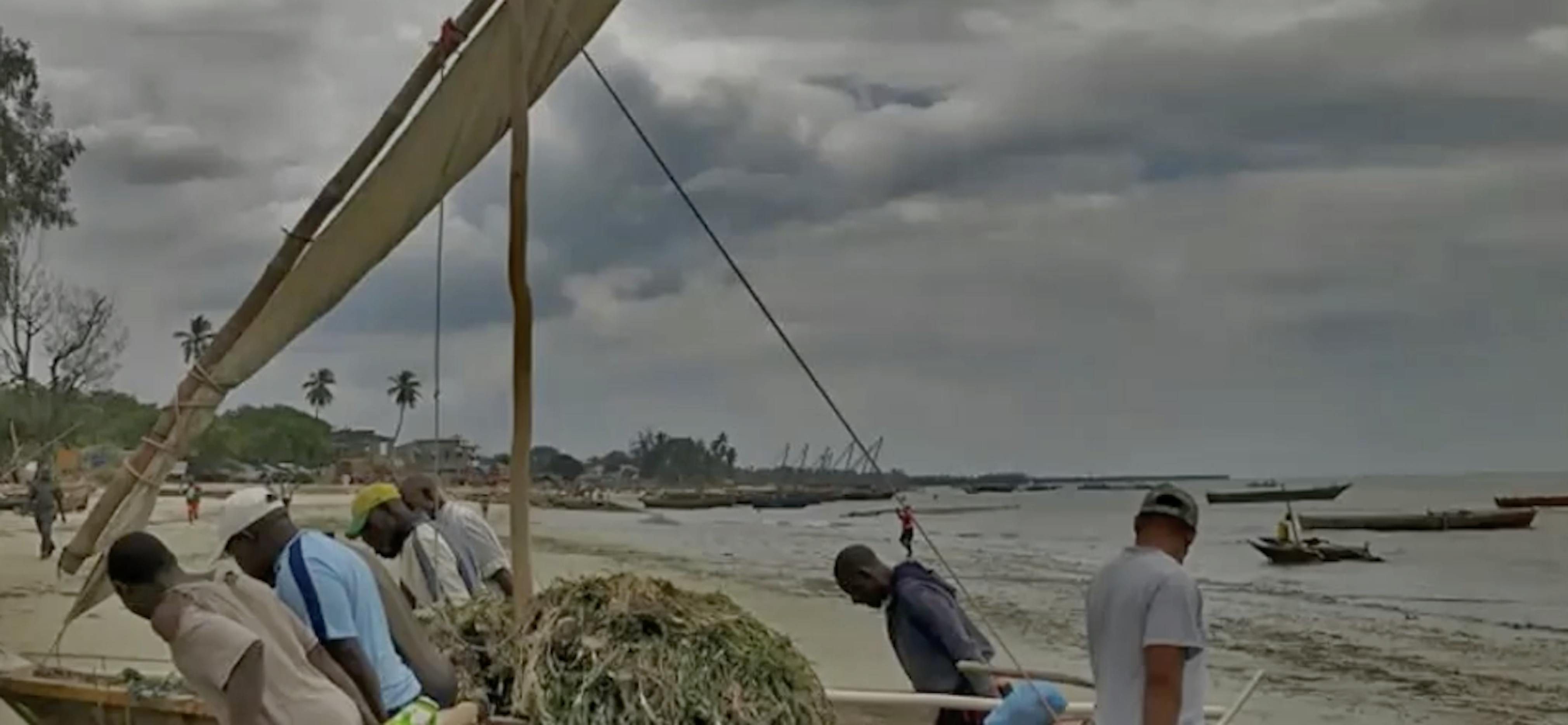 Screenshot 2025 04 18 at 1 14 01 PM