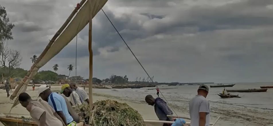 Screenshot 2025 04 18 at 1 14 01 PM