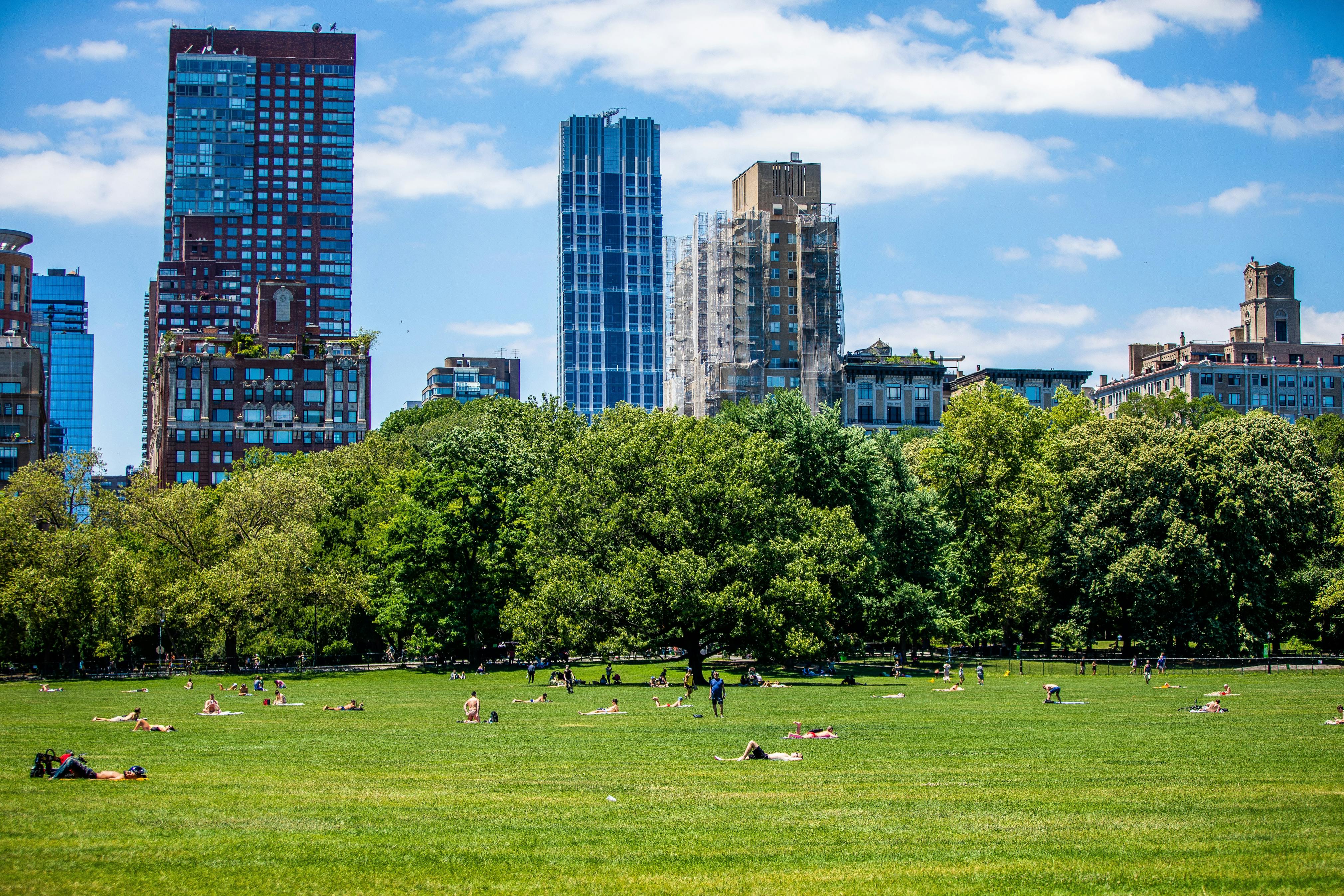USA Central Park Sheep Meadow 20210624
