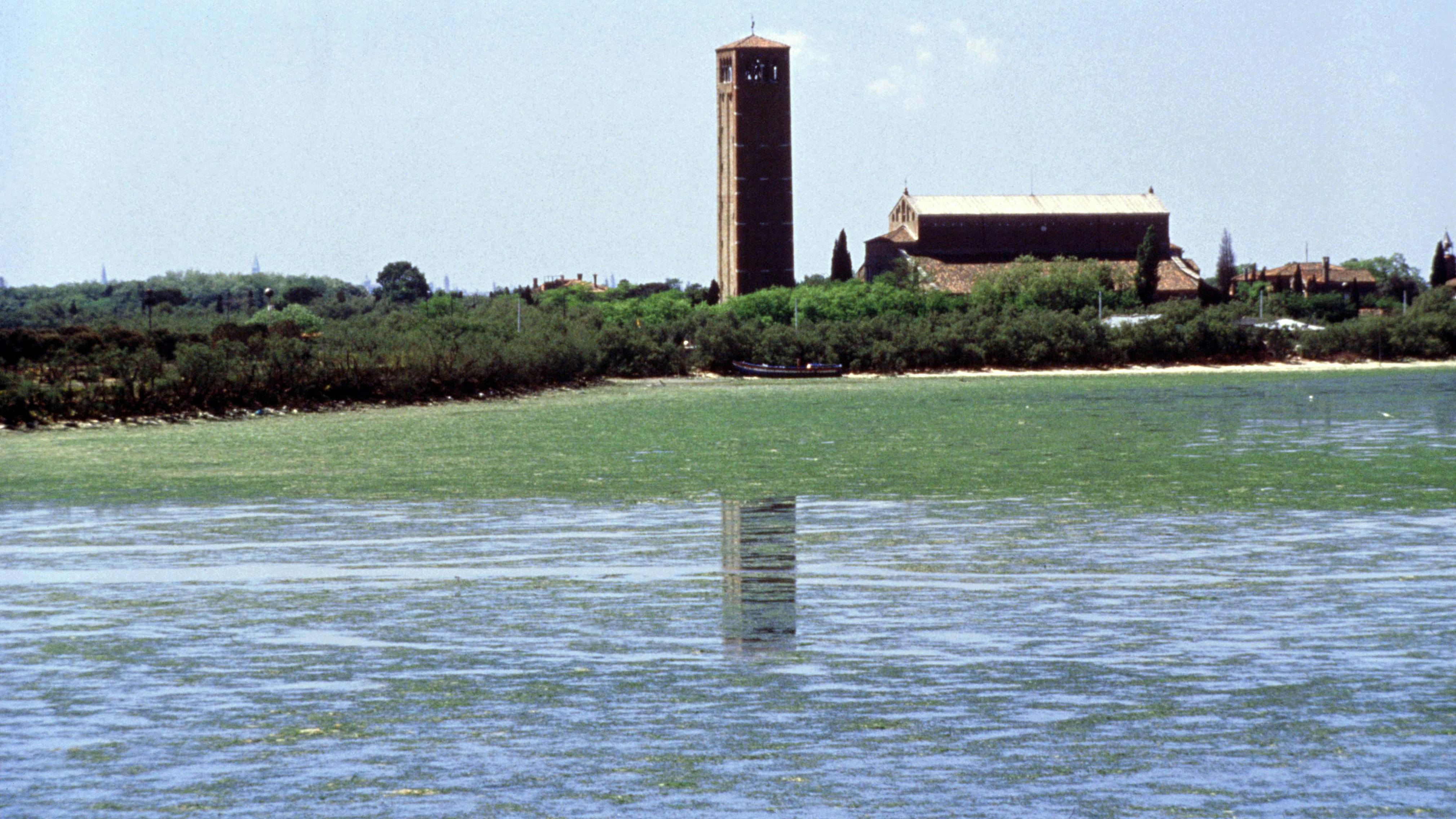 Da ita sm torcello site context c1970