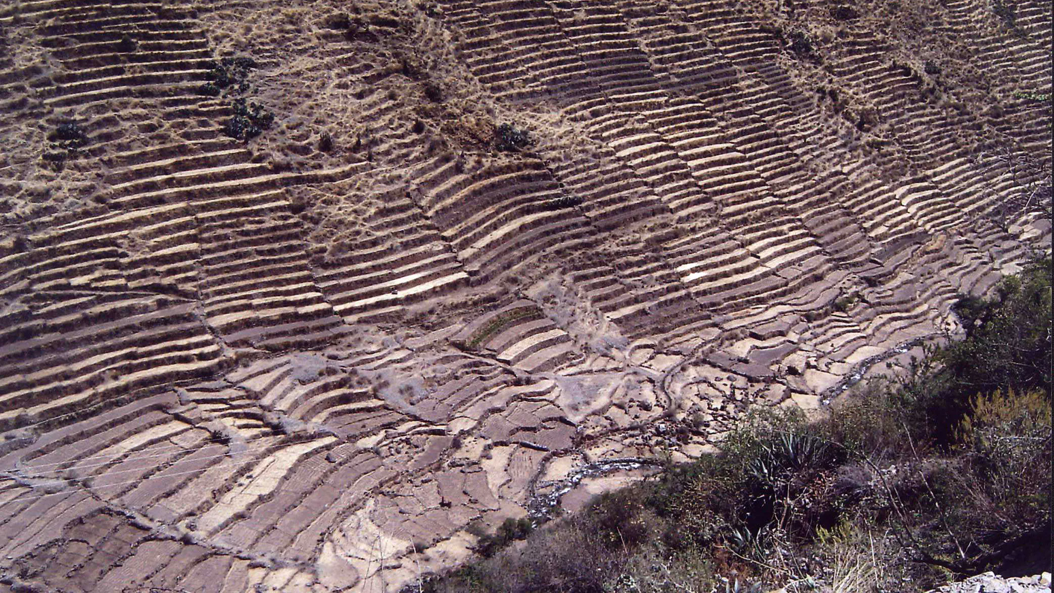 Inca Terrace Farming Diagram Inca Agriculture Wikipedia