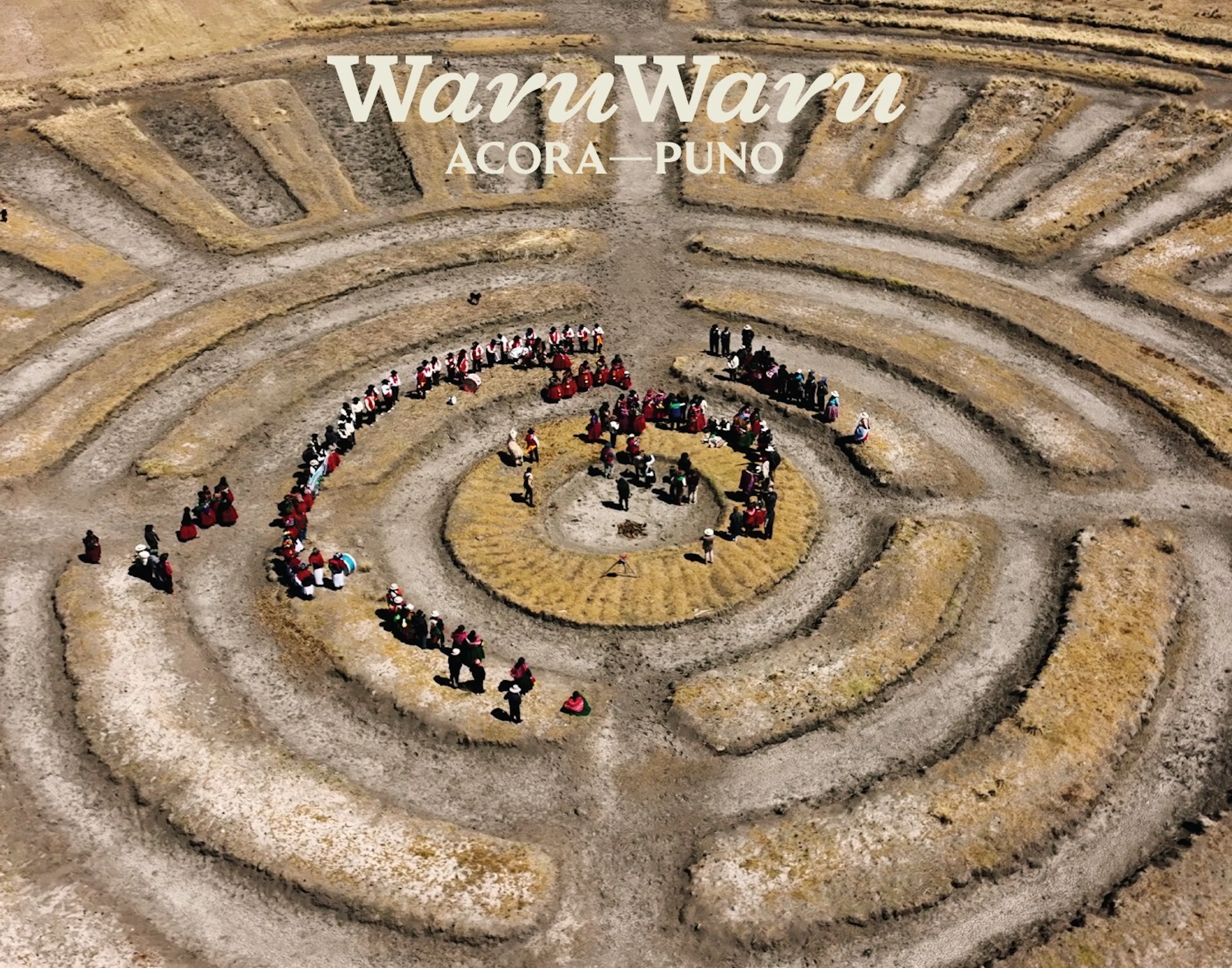 Waruwaru invite solo imagen